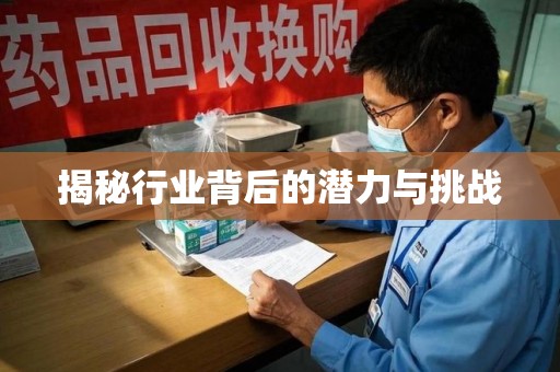 蚌埠揭秘行业背后的潜力与挑战