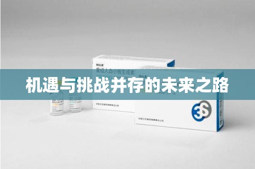 蚌埠机遇与挑战并存的未来之路