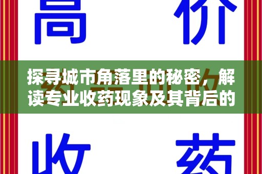 蚌埠探寻城市角落里的秘密，解读专业收药现象及其背后的故事